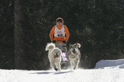 San Bernardino 2008